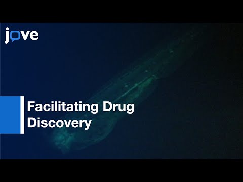 Facilitating Drug Discovery: Automated High-Content Inflammation Assay: Zebrafish l Protocol Preview