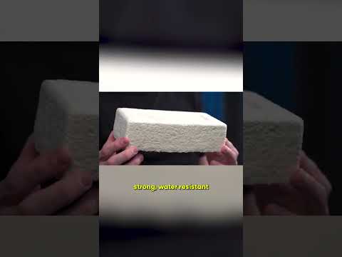 🌿 Mycelium Bricks: The Future of Sustainable Architecture!