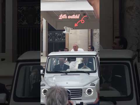 Dove caught on camera accompanying Pope Leo XIV&#039;s first general audience #holyspirit #angel #god