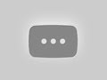 Masterclass: Mitchel Starc&#039;s Bowling At Its Best 💀 #cricket #trending #ytshorts #shorts #michelstarc