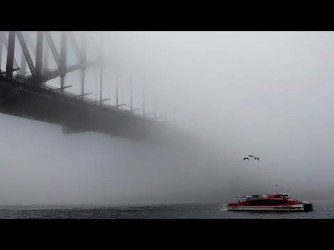 Low visibility warnings as dense fog blankets Sydney