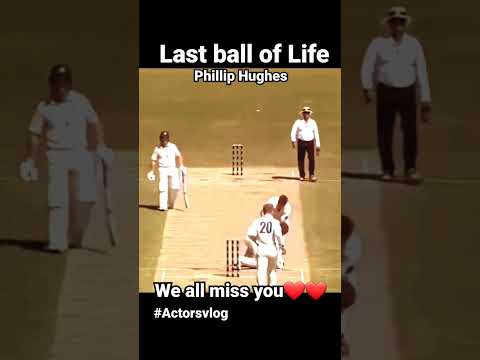 Last ball😔 we all miss you Phillip Hughes ❤️💔 #actorsvlog #ytshorts #short