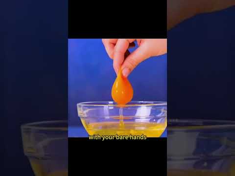 The Magic Disulfide Bond