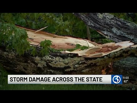 Thunderstorms cause fallen trees and power outages across the state