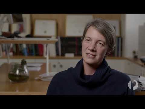 Michelle Simmons AO: Leading Australia in the race to build the world’s first quantum computer