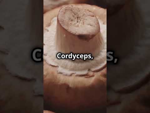 Revealed: The Astonishing Powers of Fungi That Could Change Your Life!#mushroom #facts #food #mind