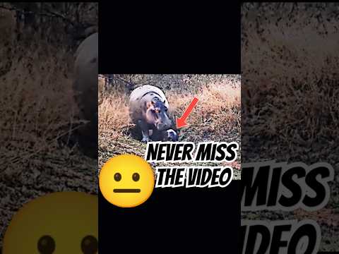 Trollface edit | hippo&#039;s troll | #trollface #troll #shorts