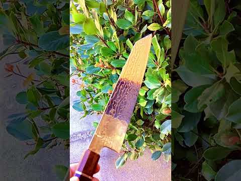 Yoshihiro Hayate ZDP-189 Super High Carbon Stainless Steel Damascus Kiritsuke Knife