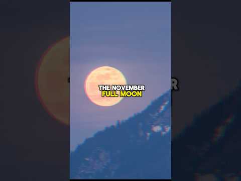 November Full Moon | Last Supermoon Of 2024 | Beaver Moon