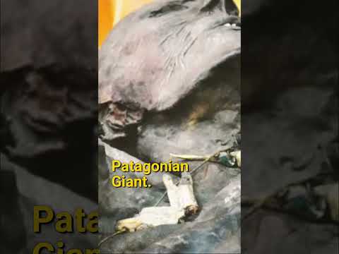 A real body of Patagonian giant 😱