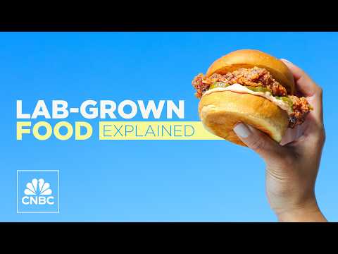 Lab-grown meat is on the rise — here&#039;s how it is made