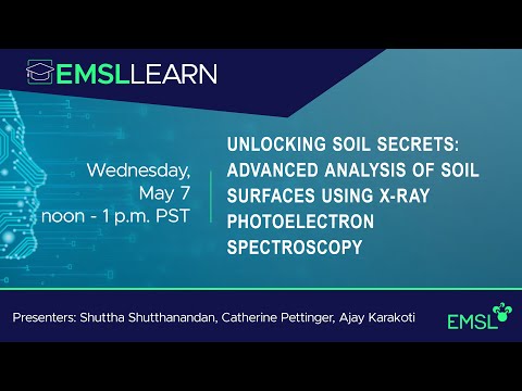 Unlocking Soil Secrets: Advanced Analysis of Soil Surfaces Using X-ray Photoelectron Spectroscopy