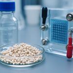 Zeolitic Catalysts for Low-Temperature Fuel Cells: 2025 Market Surge & Breakthroughs