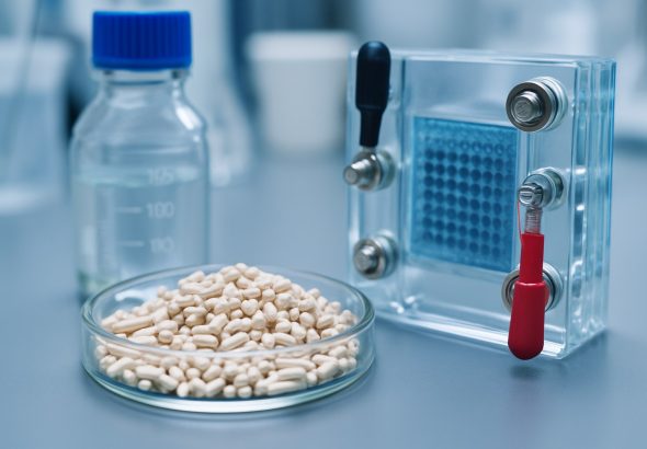 Zeolitic Catalysts for Low-Temperature Fuel Cells: 2025 Market Surge & Breakthroughs